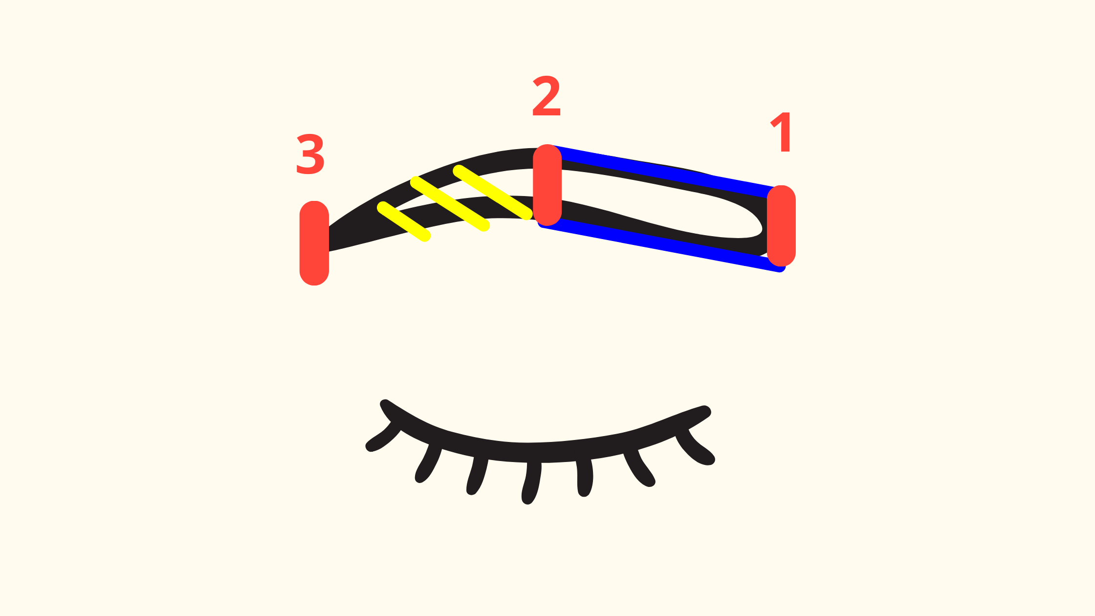 Schéma représentant les différentes étapes pour redessiner ses sourcils. 